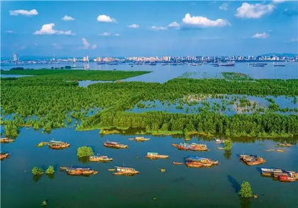 青椒评论|汇聚湘鄂英才：实现“唯楚有才”的现