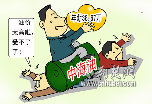 薪酬结构_中海油人均薪酬