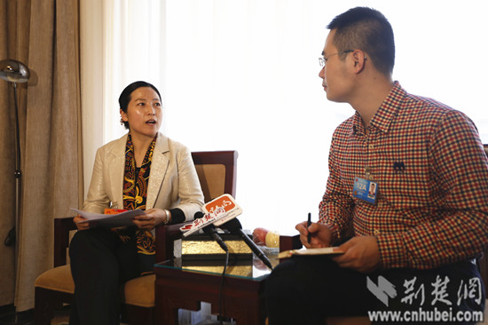 [永春探会]张琼代表建议将少数民族自治县全纳入西部大开发战略