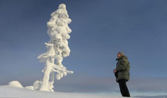 ����в����������������ľ 9500�껹�ڼ�������