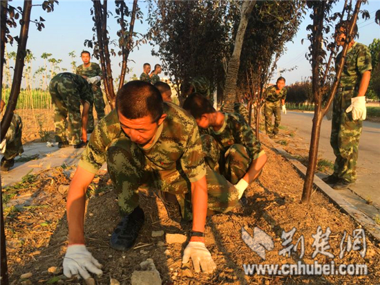 武警部队"卫士团"谱写"爱民如玉"新篇章