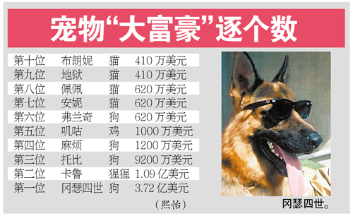 意大利老妇立遗嘱250万美元赠爱犬 宠物富豪盘点