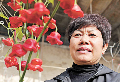 记银川市金凤区优秀农业科技工作者王金燕:带着干帮着富